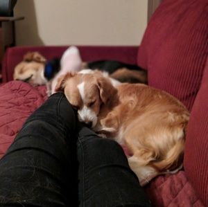 Meet your Posher, Katie